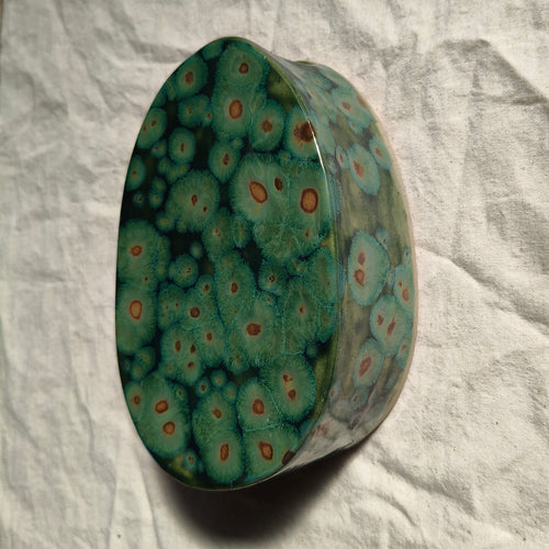 Algae Wall Vase