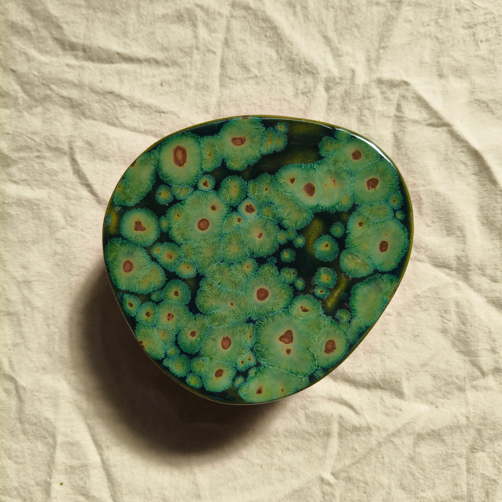 Algae Wall Vase