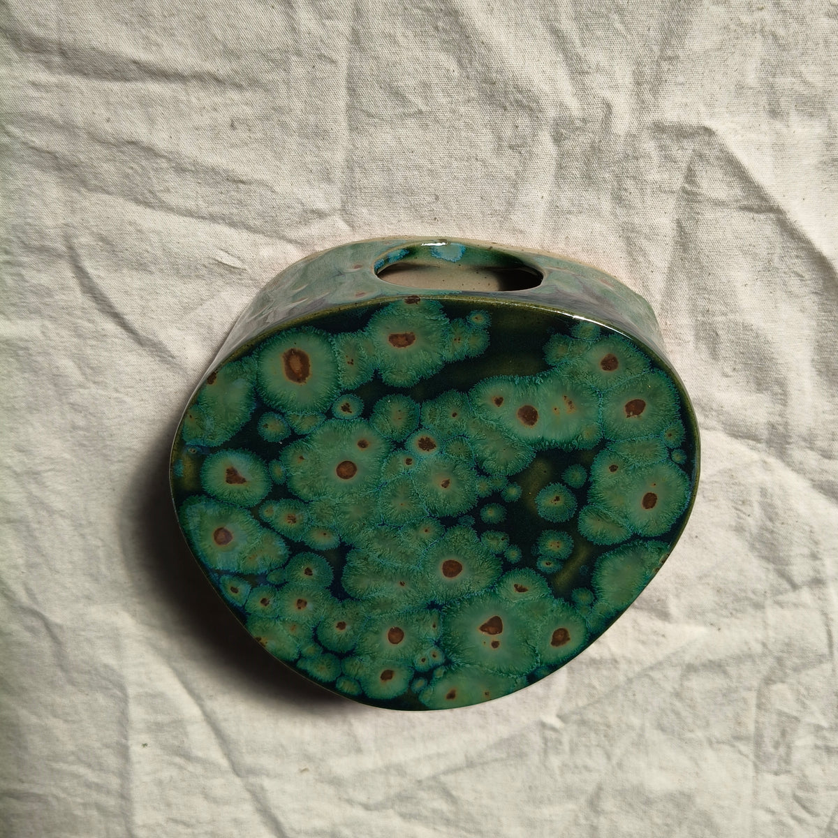 Algae Wall Vase