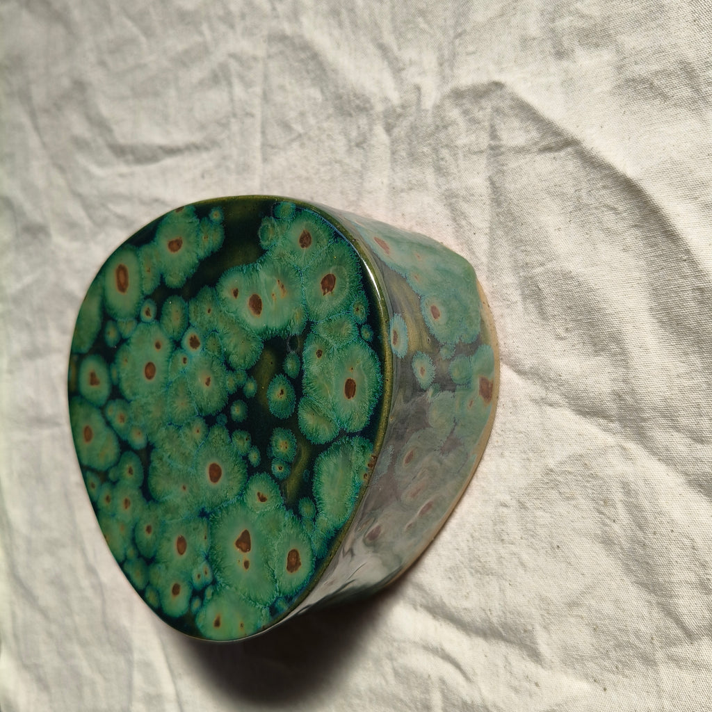 Algae Wall Vase