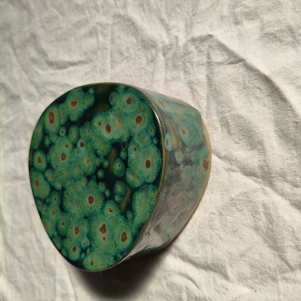 Algae Wall Vase