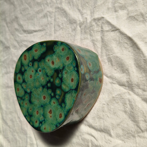 Algae Wall Vase