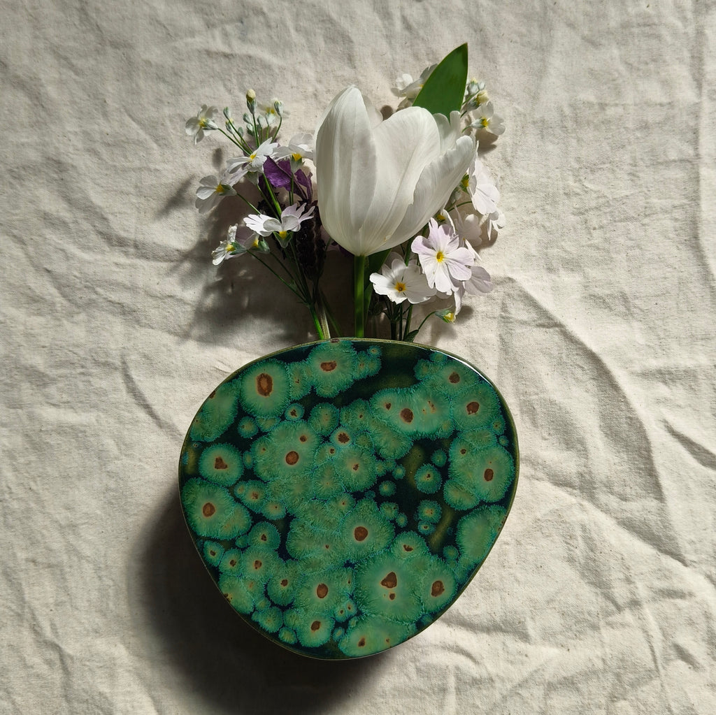 Algae Wall Vase