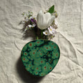 Algae Wall Vase